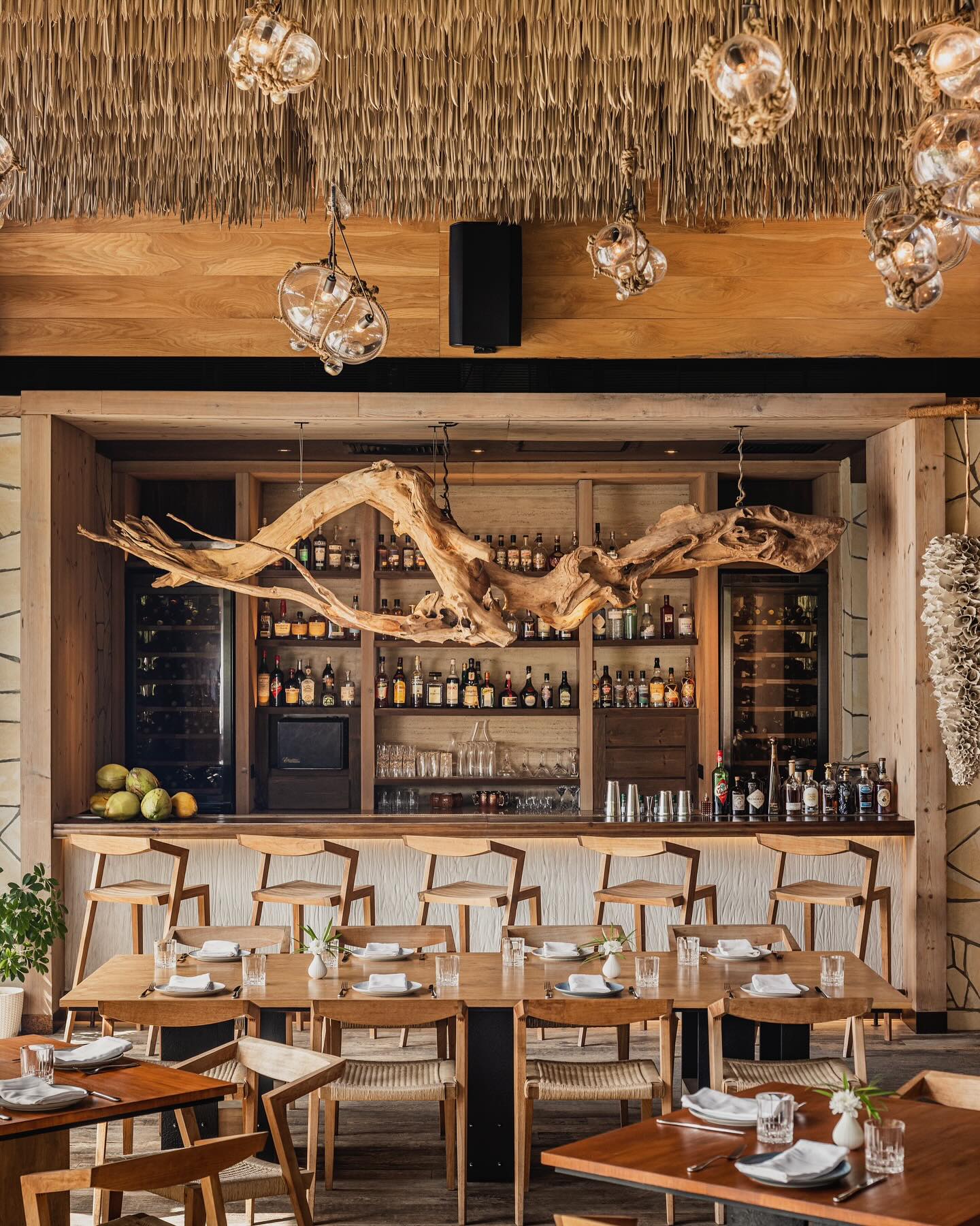 Interior bar and dining space at The Ledge by Dave Pynt, Waldorf Astoria Maldives, showcasing Social F+B’s nature-led interior design with a sculptural driftwood installation above the bar, textured timber finishes, woven ceiling treatment, warm lighting, and handcrafted wooden furniture.