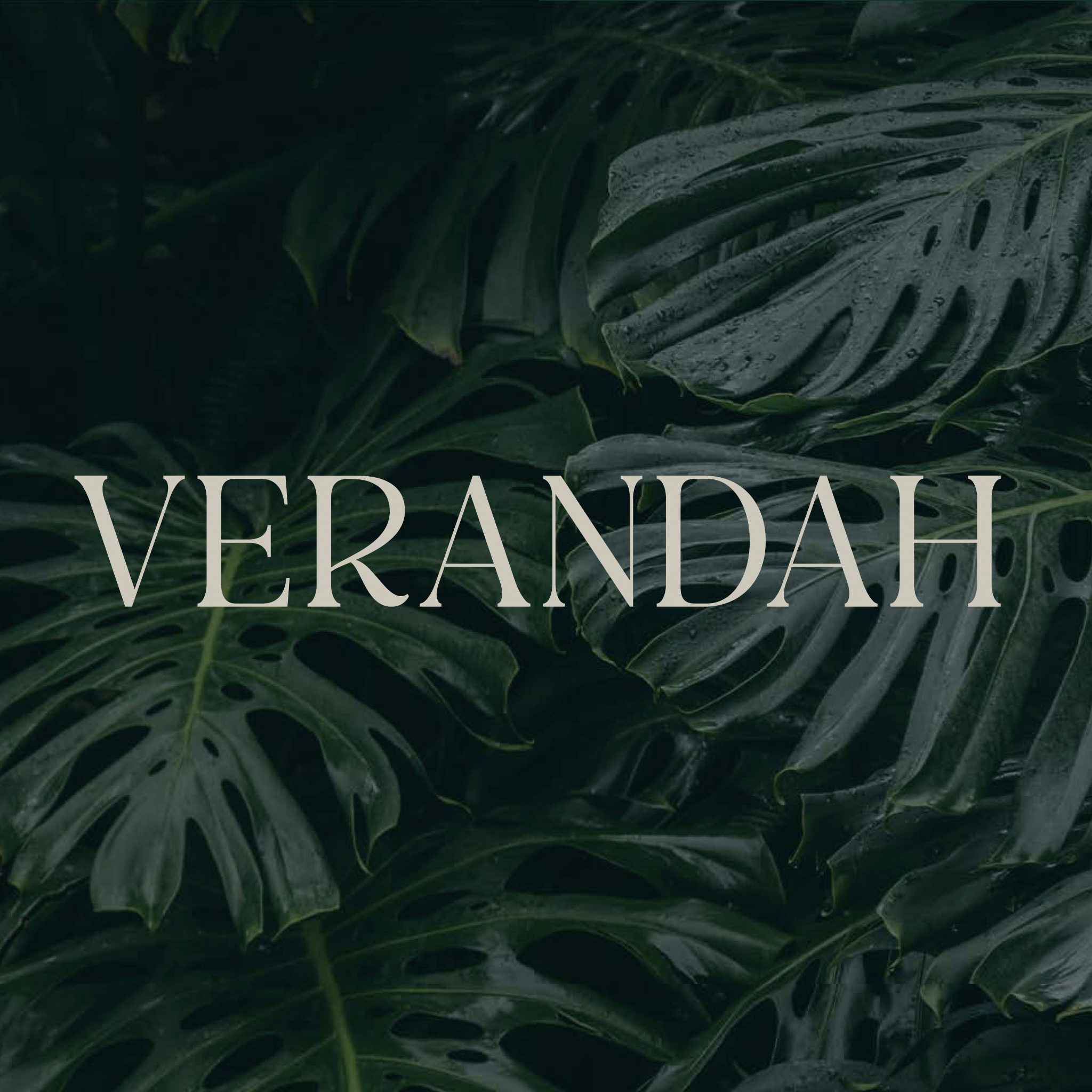 Verandah visual identity featuring elegant serif wordmark over a lush tropical leaf backdrop, reflecting the natural, resort-inspired branding of Verandah Pool Bar & Grill.